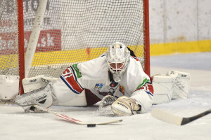 dsc_9890 kopie.jpg